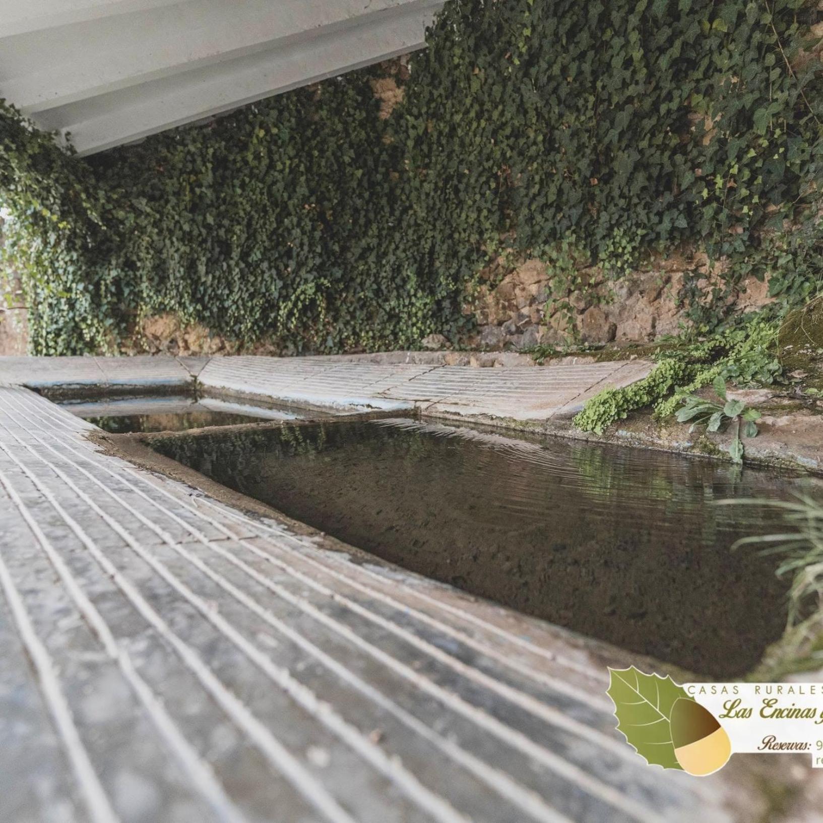 Las Encinas Yeste Exterior foto